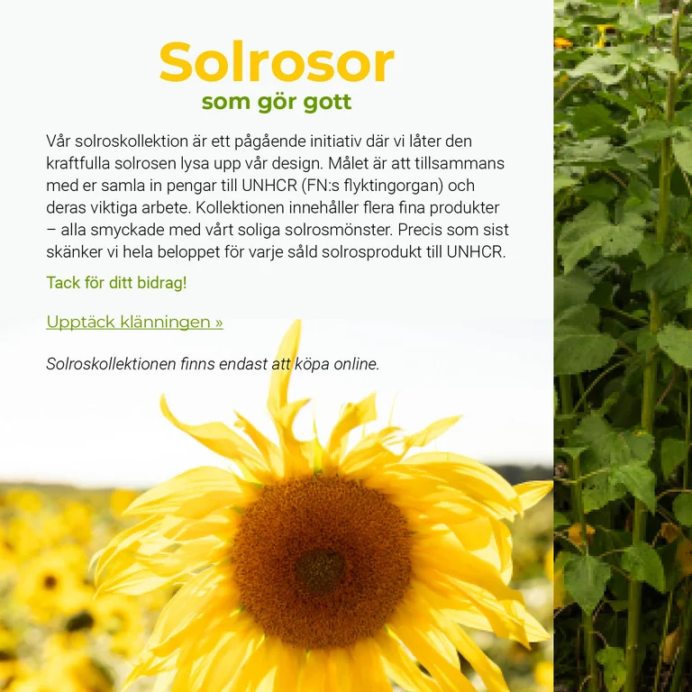 Sunflowers that do good 